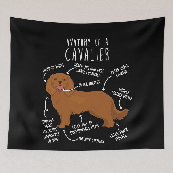 Item preview, Ruby Cavalier King Charles Spaniel Dog Anatomy designed and sold by Clara Hollins.