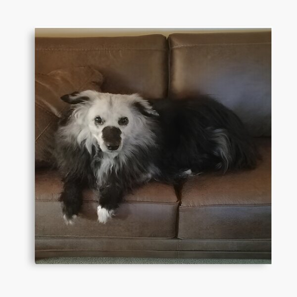 Item preview, Cozy Companionship: Resting on the Couch designed and sold by Nimrodious.