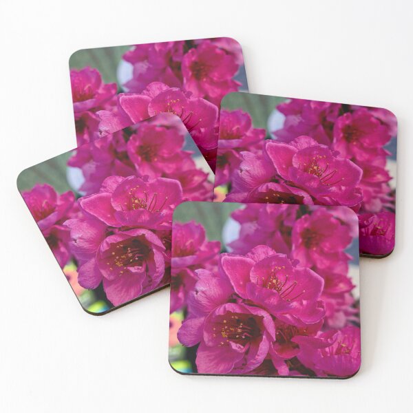 Item preview, Flora Enchantment designed and sold by Betsy Phillips.