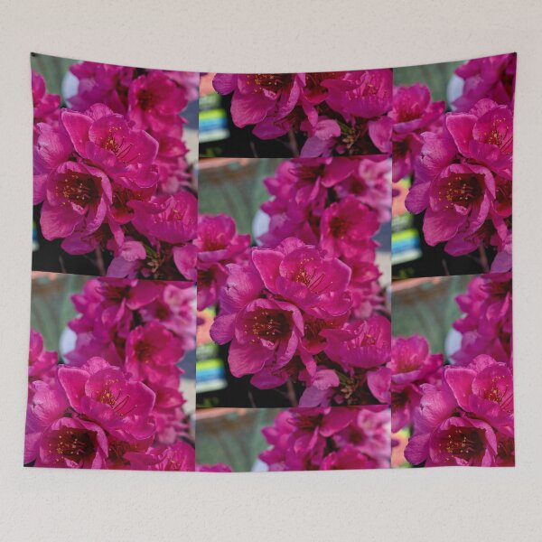 Item preview, Flora Enchantment designed and sold by Betsy Phillips.
