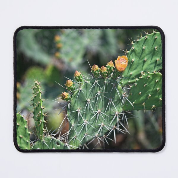 Item preview, Cactus flower under the Thai sun designed and sold by franck380.