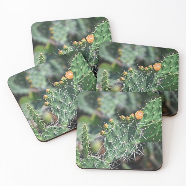 Item preview, Cactus flower under the Thai sun designed and sold by franck380.