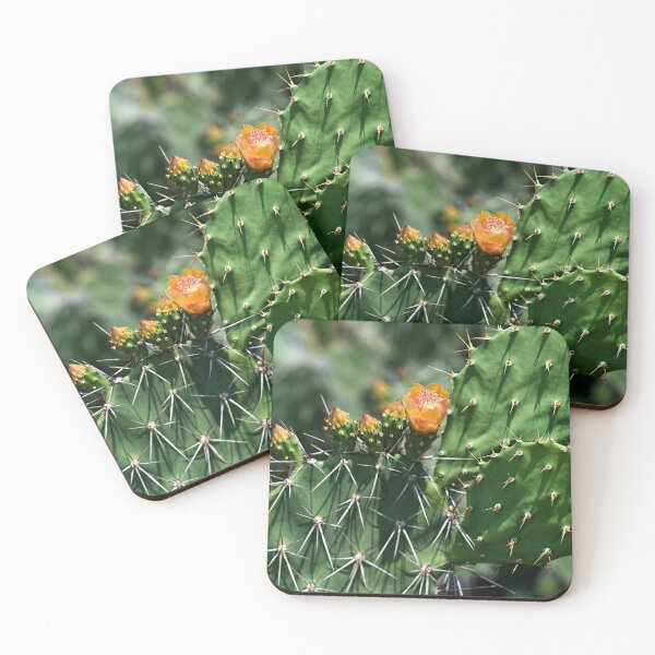 Item preview, Cactus flower under the Thai sun designed and sold by franck380.