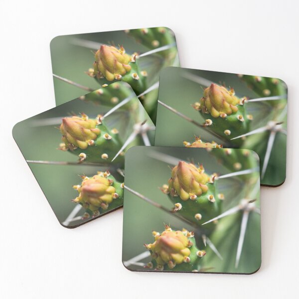 Item preview, Cactus flower under the Thai sun designed and sold by franck380.