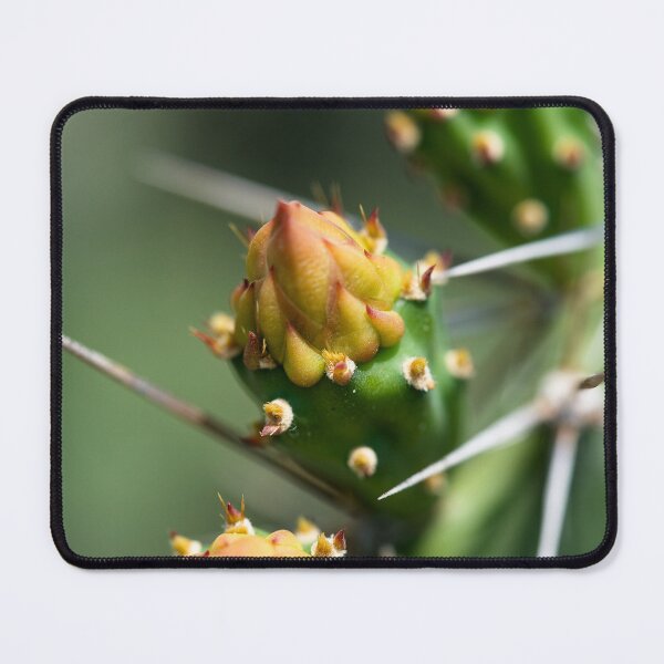 Item preview, Cactus flower under the Thai sun designed and sold by franck380.