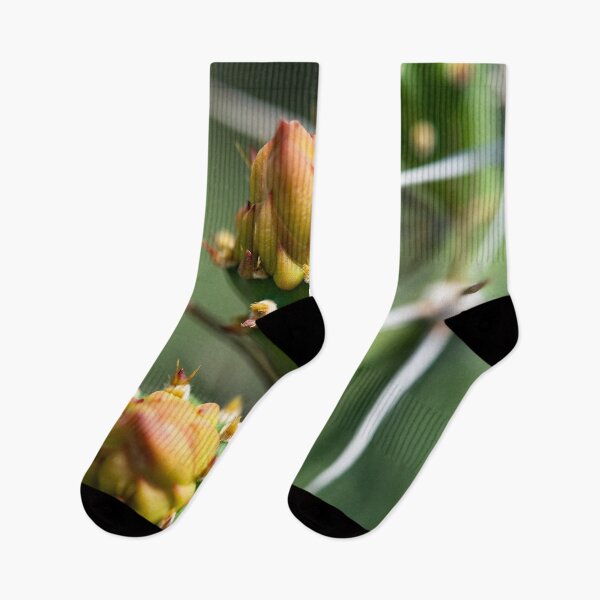 Item preview, Cactus flower under the Thai sun designed and sold by franck380.