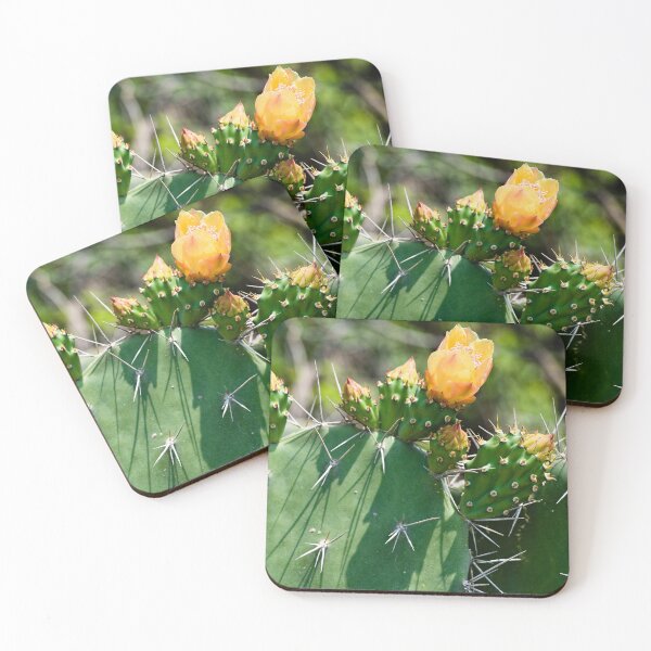 Item preview, Cactus flower under the Thai sun designed and sold by franck380.