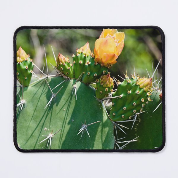 Item preview, Cactus flower under the Thai sun designed and sold by franck380.