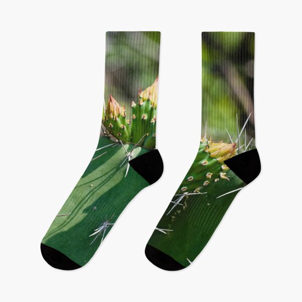 Item preview, Cactus flower under the Thai sun designed and sold by franck380.