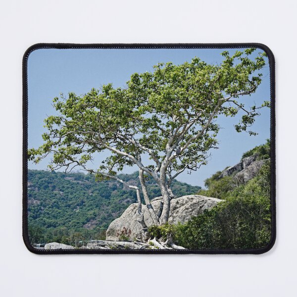 Item preview, Wild serenity on the Thai coast designed and sold by franck380.