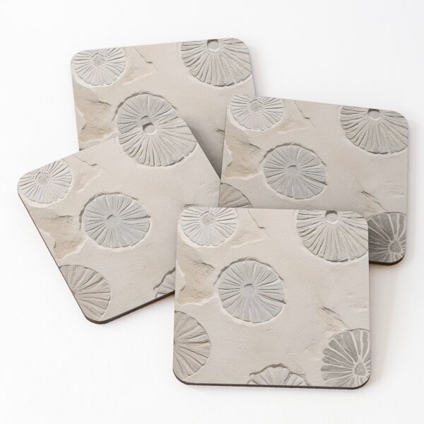Item preview, Fossil Imprints on Limestone Surface designed and sold by SurfaceCraft Studio.