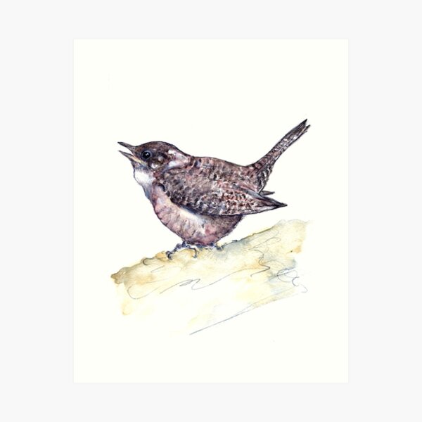 Item preview, House Wren designed and sold by Barbara E Wyeth.