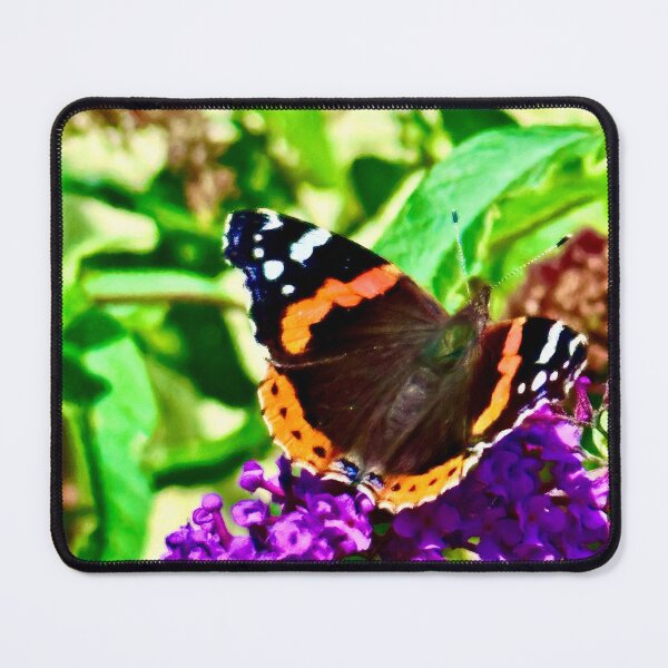 Item preview, Red Admiral Butterfly designed and sold by Pamela Storch.