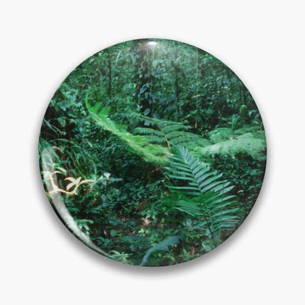 Item preview, Lost In Costa Rica: Rain Forest Jungle Trek  designed and sold by DEC02.