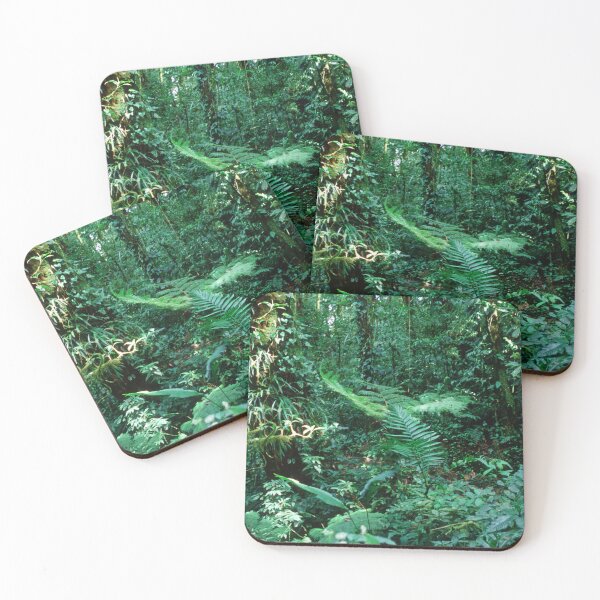 Item preview, Lost In Costa Rica: Rain Forest Jungle Trek  designed and sold by DEC02.