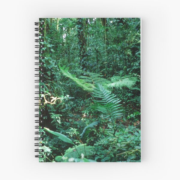 Item preview, Lost In Costa Rica: Rain Forest Jungle Trek  designed and sold by DEC02.