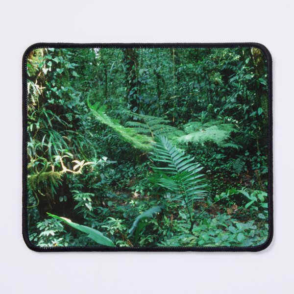 Item preview, Lost In Costa Rica: Rain Forest Jungle Trek  designed and sold by DEC02.
