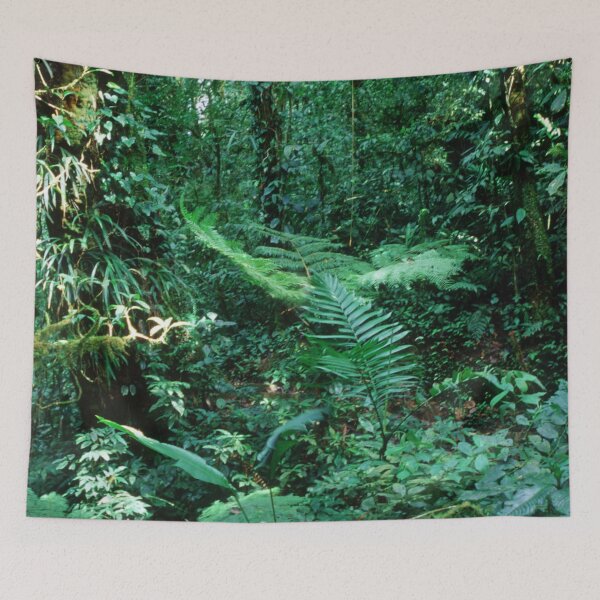 Item preview, Lost In Costa Rica: Rain Forest Jungle Trek  designed and sold by DEC02.