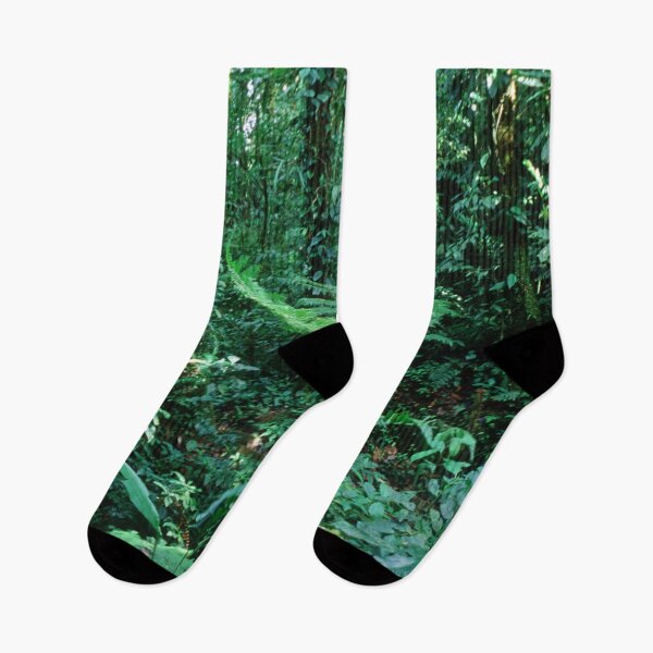 Item preview, Lost In Costa Rica: Rain Forest Jungle Trek  designed and sold by DEC02.