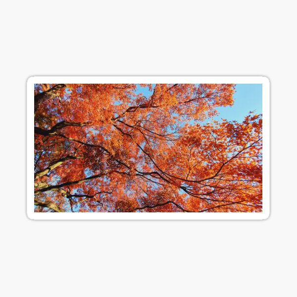 Item preview, Japan Fall Foliage  designed and sold by TalBright.