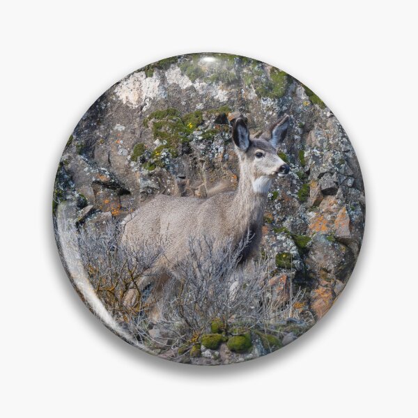 Item preview, Walking a Narrow Path designed and sold by DawsonImages.