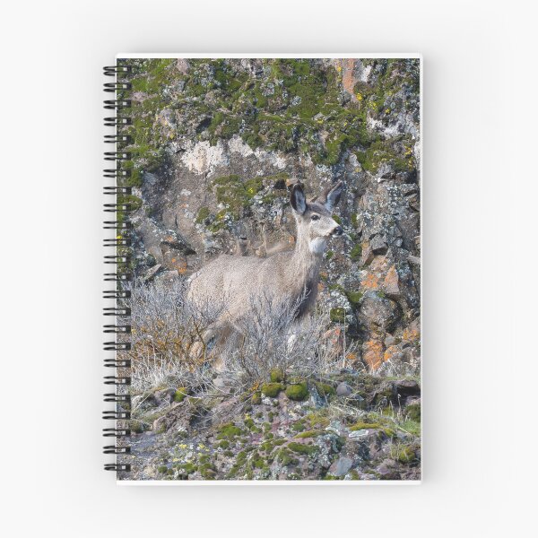 Item preview, Walking a Narrow Path designed and sold by DawsonImages.
