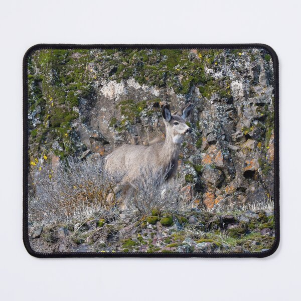 Item preview, Walking a Narrow Path designed and sold by DawsonImages.