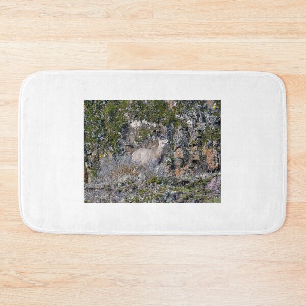Item preview, Walking a Narrow Path designed and sold by DawsonImages.