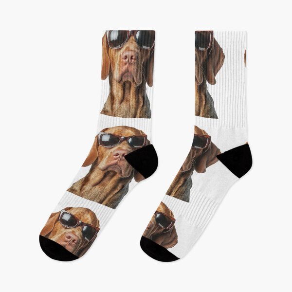 Item preview, Funny cool Bracco Italiano Dog wearing sunglasses designed and sold by LazyOwlStore.