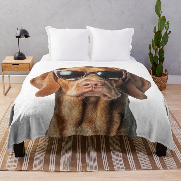 Item preview, Funny cool Bracco Italiano Dog wearing sunglasses designed and sold by LazyOwlStore.