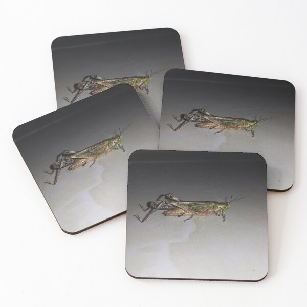 Item preview, Close up Green Grasshopper  ||  Locust designed and sold by Yusuf-Design.