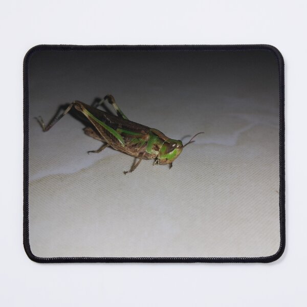 Item preview, Green Grasshopper || Locust designed and sold by Yusuf-Design.