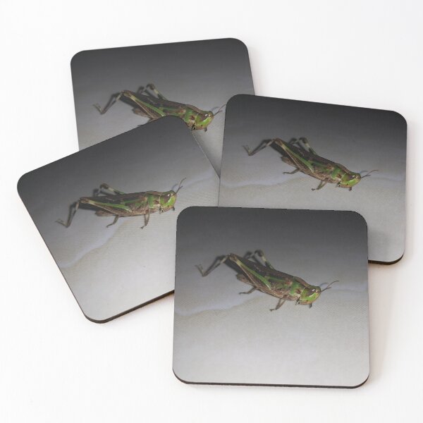 Item preview, Green Grasshopper ||  Locust designed and sold by Yusuf-Design.