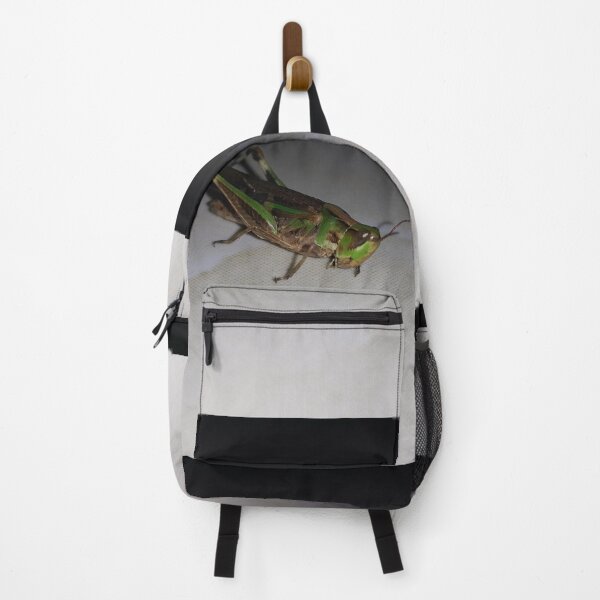 Item preview, Green Grasshopper ||  Locust designed and sold by Yusuf-Design.