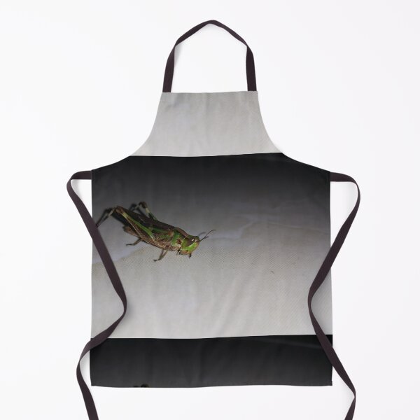 Item preview, Green Grasshopper ||  Locust designed and sold by Yusuf-Design.