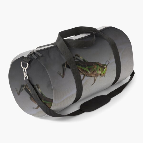 Item preview, Green Grasshopper ||  Locust designed and sold by Yusuf-Design.