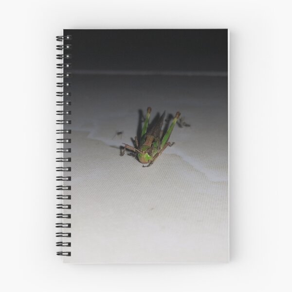 Item preview, Grasshopper ||  Locust designed and sold by Yusuf-Design.