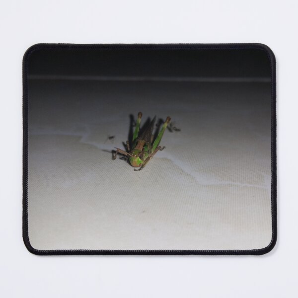 Item preview, Grasshopper || Locust designed and sold by Yusuf-Design.
