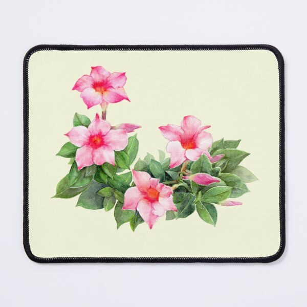 Item preview, Watercolor illustration of Mandevilla designed and sold by minsillust.