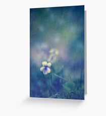 Wild Violet Greeting Card