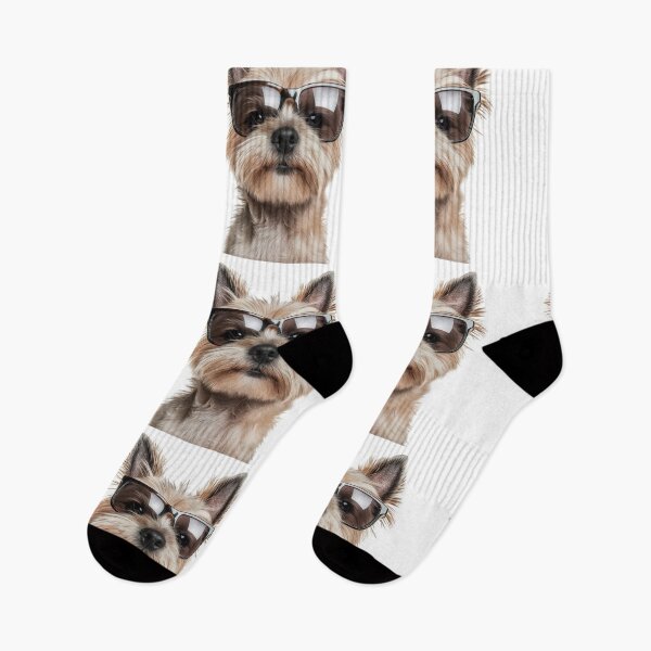Item preview, Funny cool Cairn Terrier Dog wearing sunglasses designed and sold by LazyOwlStore.