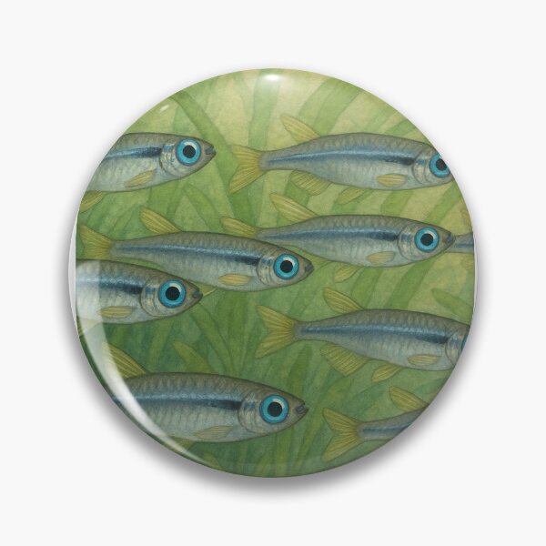 Item preview, Beautiful Norman Lampeye Killifish Shoal – Vibrant Aquatic School designed and sold by NocturnalNook.