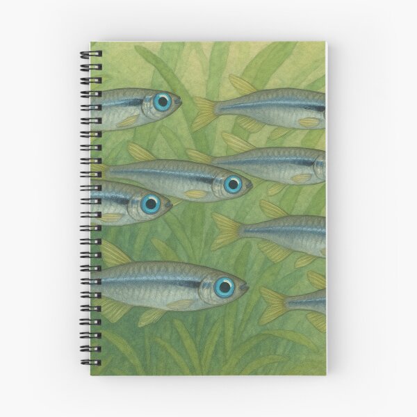 Item preview, Beautiful Norman Lampeye Killifish Shoal – Vibrant Aquatic School designed and sold by NocturnalNook.