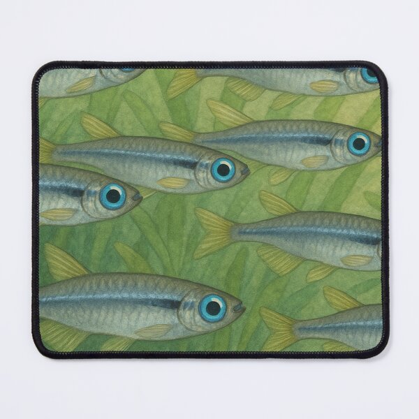 Item preview, Beautiful Norman Lampeye Killifish Shoal – Vibrant Aquatic School designed and sold by NocturnalNook.