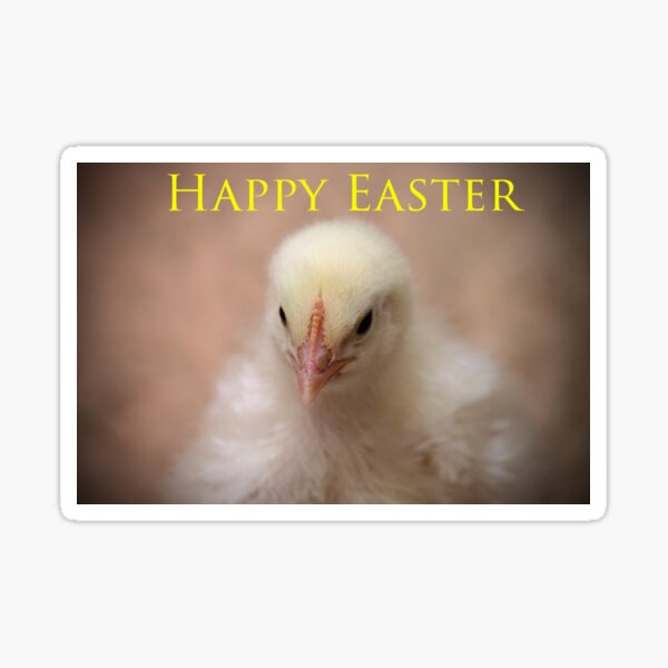 Happy Easter Chick Sticker