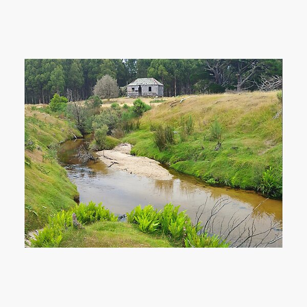 Item preview, Forgotten homestead  designed and sold by Donovan Wilson.
