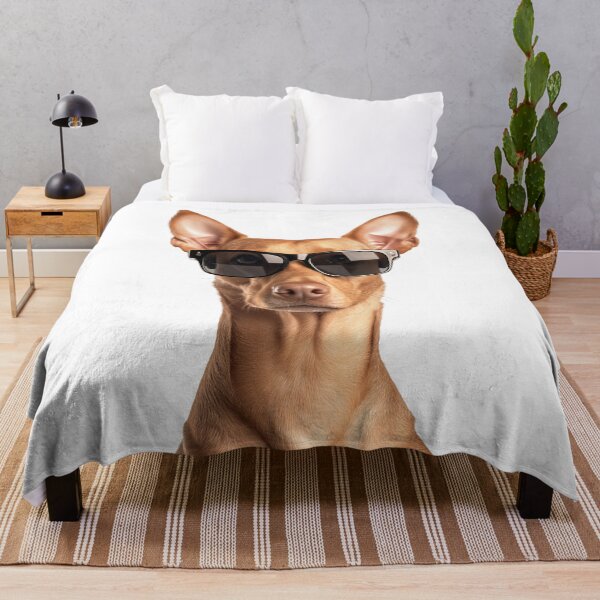 Item preview, Funny cool Cirneco dell'Etna Dog wearing sunglasses designed and sold by LazyOwlStore.