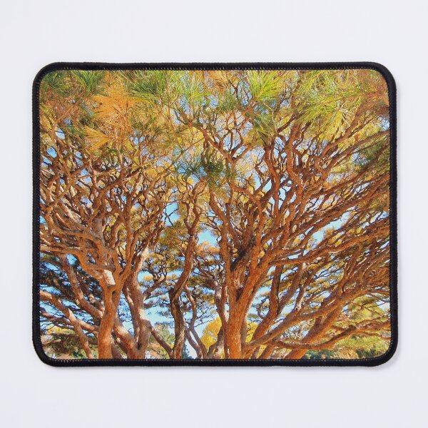 Item preview, Japan Autumn Leaves Fall Foliage in Tokyo Japanese Garden designed and sold by TalBright.