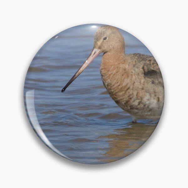 Item preview, Black Tailed Godwit designed and sold by LaurenTucker.