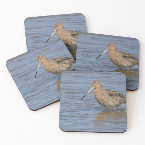 Item preview, Black Tailed Godwit designed and sold by LaurenTucker.